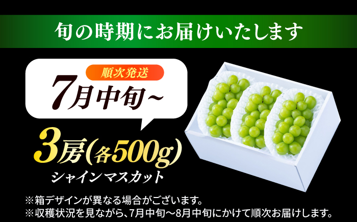 【先行予約・26年7月以降発送】 日田産シャインマスカット3房(約1.5kg) ぶどう　日田市 / 南国フルーツ株式会社 ブドウ 葡萄 ぶどう【配送不可地域：離島】 [ARET003]