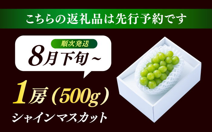 【期間限定】日田産シャインマスカット1房(約500g)　日田市 / 南国フルーツ株式会社 ブドウ 葡萄 ぶどう [ARET004]