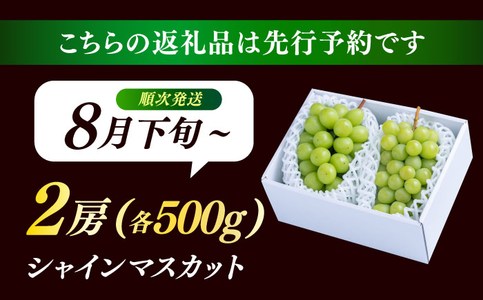 【期間限定】日田産シャインマスカット2房(約1kg) 日田市 / 南国フルーツ株式会社 ブドウ 葡萄 ぶどう [ARET005]