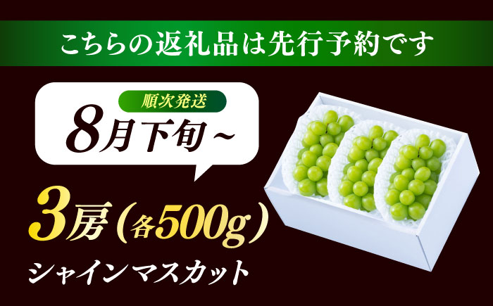 【先行予約・26年8月以降発送】日田産シャインマスカット3房(約1.5kg)　日田市 / 南国フルーツ株式会社 ブドウ 葡萄 ぶどう 【配送不可地域：離島】[ARET006]