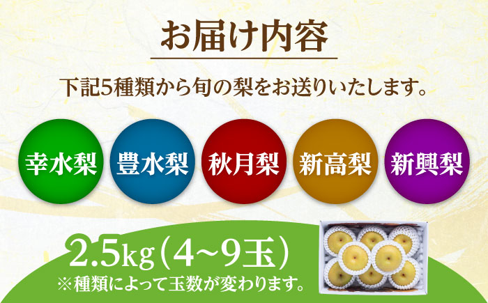【期間限定】 旬の日田梨お届け便 約2.5kg(幸水、豊水、秋月、新高、新興) 　日田市 / 南国フルーツ株式会社 なし 梨 果物 フルーツ [ARET007] 約2.5kg(4～9玉)