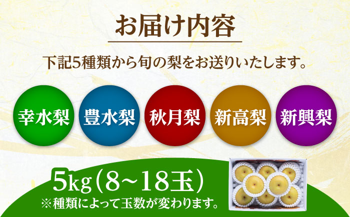 【期間限定】 旬の日田梨お届け便 約5kg(幸水、豊水、秋月、新高、新興) 　日田市 / 南国フルーツ株式会社 なし 梨 果物 フルーツ [ARET008] 約5kg(8～18玉)