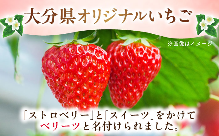 【先行予約・26年2月以降発送】 「ベリーツ」平大玉 約280g×2パック　日田市 / 株式会社スカイファーム [AREU001]