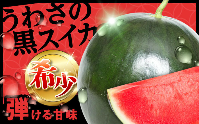 【先行予約・26年6月以降発送】尺玉西瓜 1玉（約7kg～9kg）スイカ 日田市 / JAおおいた【配送不可地域：北海道・沖縄・離島】 [AREW001]