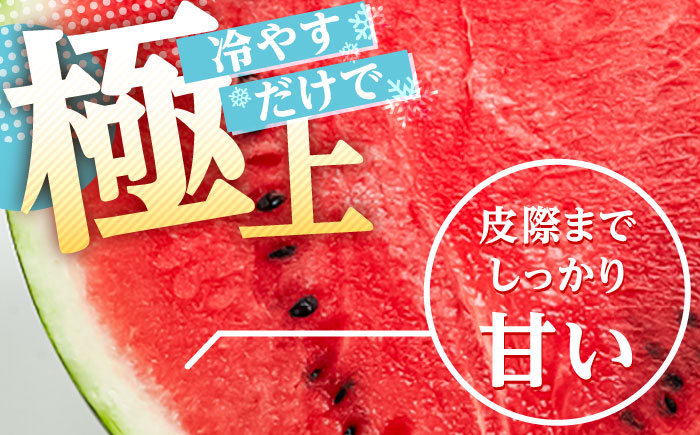 【先行予約・26年6月以降発送】日田西瓜（羅皇ザ・スウィート）  1玉 7~9kg スイカ 日田市 / JAおおいた【配送不可地域：北海道・沖縄・離島】[AREW002]