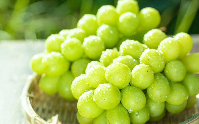 【先行予約・26年8月以降発送】日田市産シャインマスカット2kg(3～5房)　日田市 / 全国農業協同組合連合会大分県本部 ブドウ 葡萄 ぶどう [ARFD007]