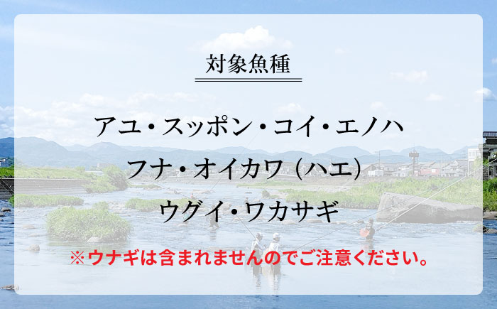 【令和8年度】ウナギを除く全魚種 遊漁年券(1枚)　日田市 / 日田漁業協同組合 鮎 アユ 釣り [ARFJ001]