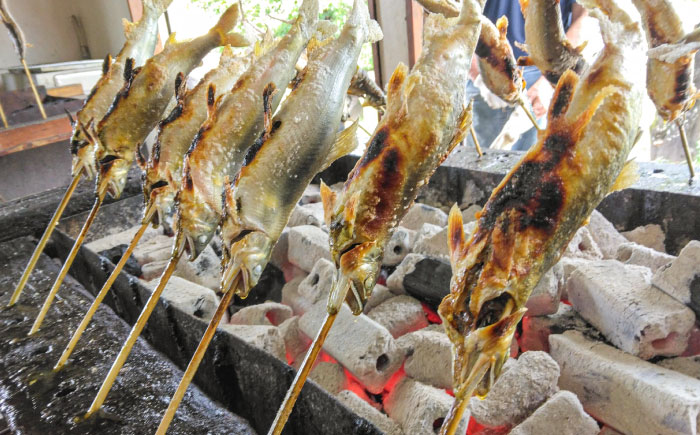 日田産養殖鮎(冷凍)1kg　日田市 / 日田漁業協同組合 魚 あゆ アユ [ARFJ003]