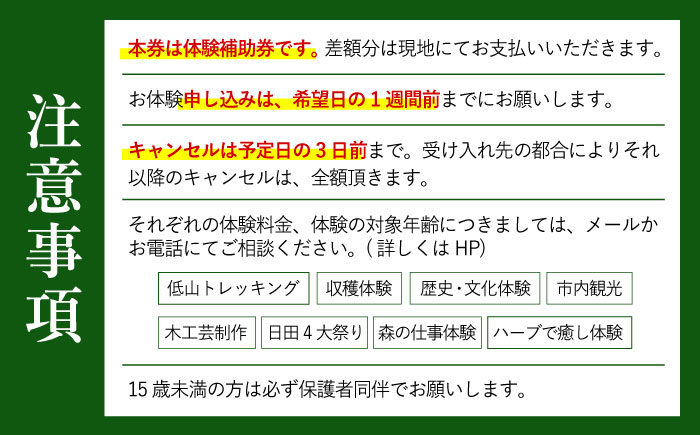 【日田を満喫体験】選べる！思い出に残る体験チケット補助券(3,000円分)　日田市 / 日田グリーンツーリズム花の木 トラベル 旅行 体験チケット [ARFM005]