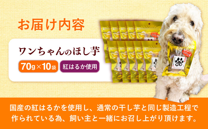 【自然な甘みと歯ごたえ】ワンちゃんの干し芋70g×10袋セット　日田市 / 日本農林産食品製造株式会社 ほしいも 干しいも さつまいも [ARFV006]