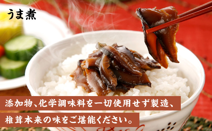 【椎茸ごちそう便】 鶏めしの素 150g×4・うま煮 100g×1 鶏めし 日田市 / 有限会社マルナカフーズ [ARAG004]