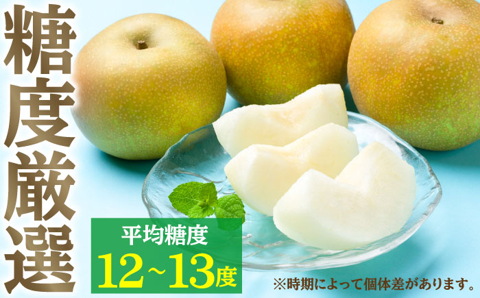 【先行予約・26年8月以降発送】日田梨 幸水 5kg 梨 日田市 / 日田梨協同組合 [ARBB001]