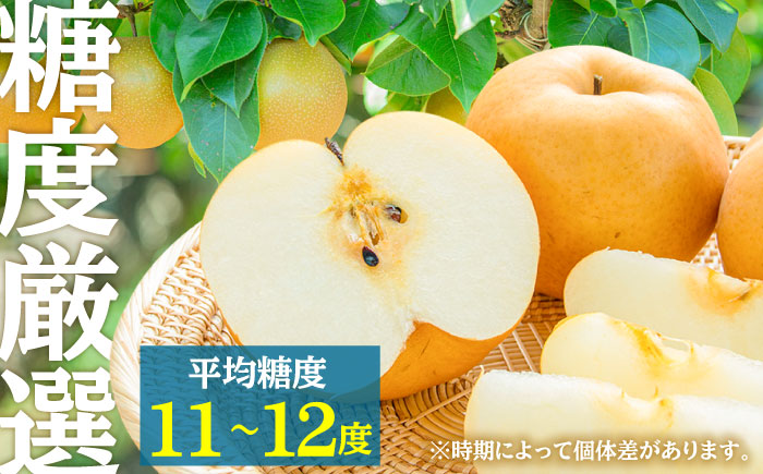 【先行予約・26年8月以降発送】日田梨 豊水 5kg 梨 日田市 / 日田梨協同組合 [ARBB002]