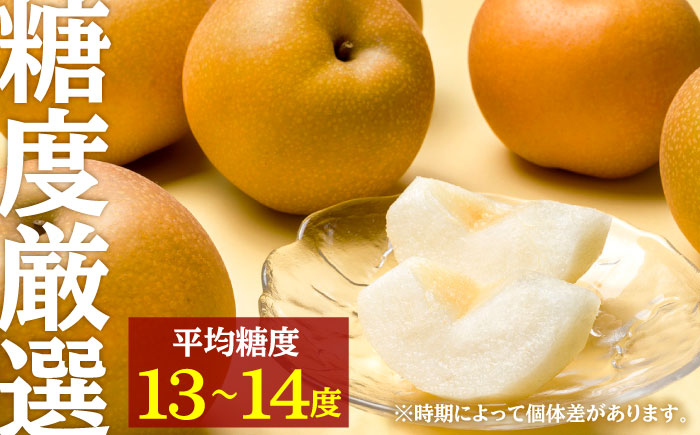 【先行予約・25年9月以降発送】日田梨 あきづき 3kg 梨 日田市 / 日田梨協同組合 [ARBB003]