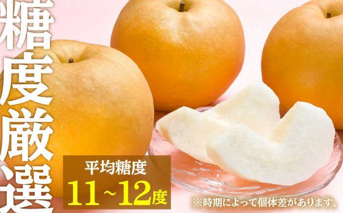 【先行予約・26年9月以降発送】日田梨 新高 5kg 梨 日田市 / 日田梨協同組合 [ARBB004]