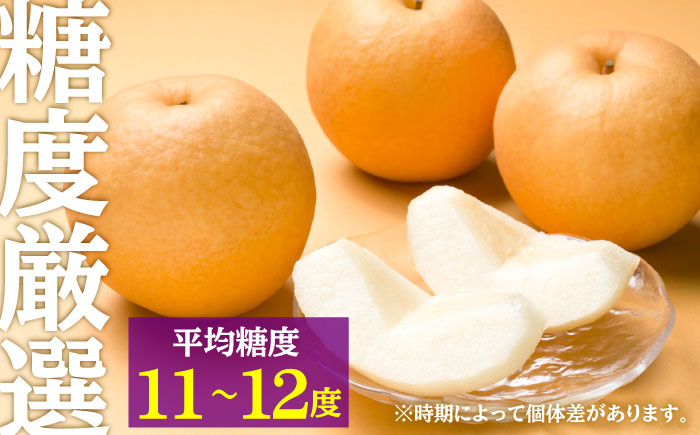 【先行予約・25年10月以降発送】日田梨 新興 5kg 梨 日田市 / 日田梨協同組合 [ARBB005]