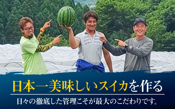 【先行予約・26年6月以降発送】日田天領 西瓜 1玉 約7kg～10kg 100サイズ スイカ 日田市 / 日田天領西瓜部会 【配送不可地域：北海道・沖縄・離島】[ARBD001]