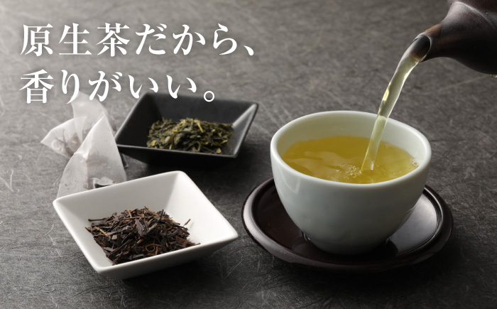 山の民の原生茶（一番茶葉）　ほうじ茶ティーバッグ 3g×10袋 ほうじ茶・煎茶 各70g ほうじ茶 日田市 / 田島山業株式会社 [ARBK001]