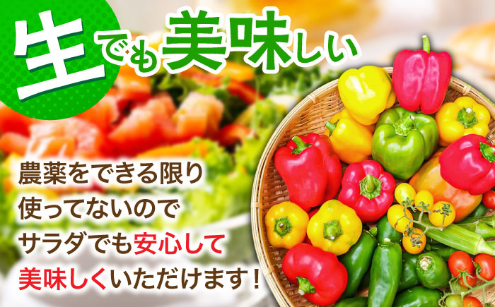 【全6回定期便】農家セレクト！特別栽培 日田の厳選食材 詰め合わせ 日田市 / 自然工房Mori 野菜 果物 米 産地直送 新鮮 セット [ARBR003]