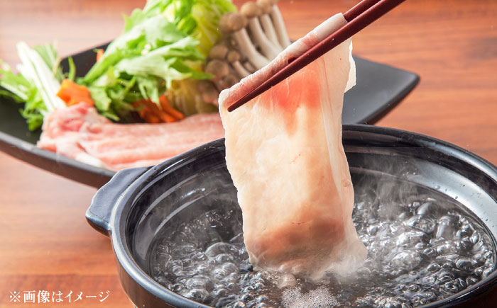 大分県日田市産 とびうめ豚 ロース しゃぶしゃぶ用 580g 日田市 / 株式会社中津留 [ARCM001]