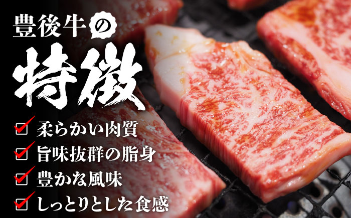 【訳あり】おおいた豊後牛 焼肉 切り落とし 1kg(500g×2P) 日田市 / 株式会社MEAT PLUS　牛 うし 黒毛和牛 和牛 豊後牛 [AREI033] 【単品】1kg(500g×2)