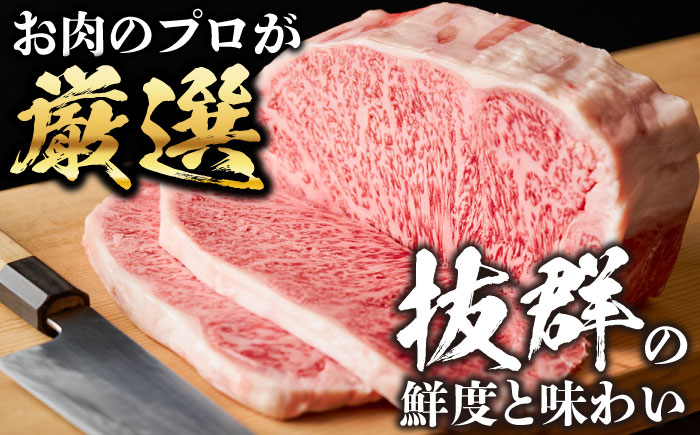 【全6回定期便】おおいた豊後牛 サーロインステーキ 500g (250g×2枚) 日田市 / 株式会社MEAT PLUS　肉 牛肉 和牛 [AREI057] 【全6回定期便】