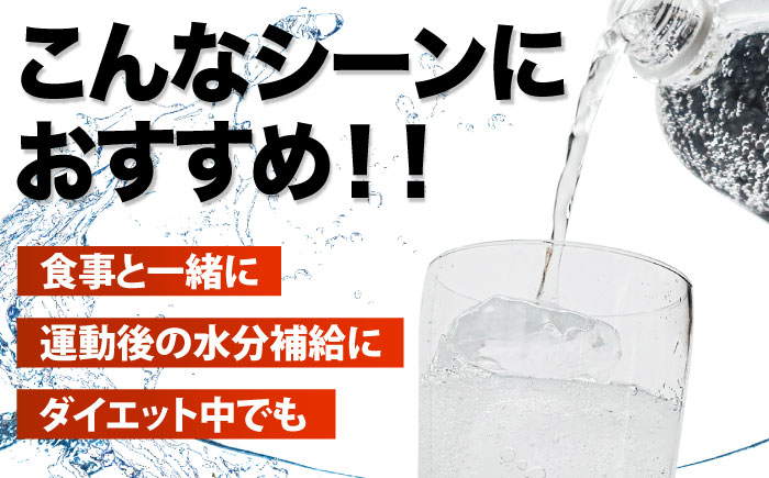 【全7回定期便】龍馬POWER SODA 500ml×24本 計168本 日田市 / 日本ビール株式会社 [ARER007]