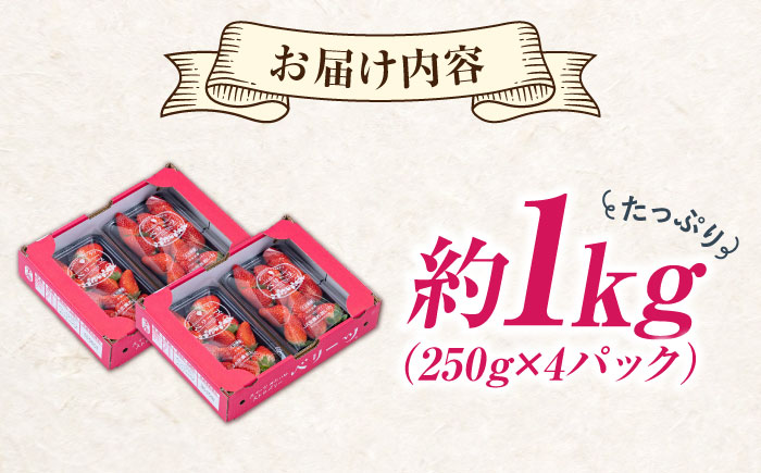 【先行予約・26年2月以降発送】　大分産ベリーツ(約250g×4パック)　日田市 / 南国フルーツ株式会社 [ARET010]