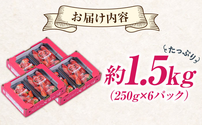 【先行予約・26年2月以降発送】　大分産ベリーツ(約250g×6パック)　日田市 / 南国フルーツ株式会社 [ARET011]