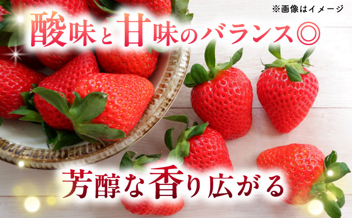【先行予約・26年2月以降発送】 「ベリーツ」平大玉 約280g×2パック　日田市 / 株式会社スカイファーム [AREU001]