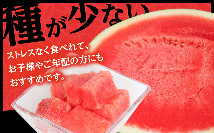 【先行予約・26年6月以降発送】尺玉西瓜 1玉（約7kg～9kg）スイカ 日田市 / JAおおいた【配送不可地域：北海道・沖縄・離島】 [AREW001]