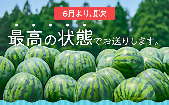 【先行予約・26年6月以降発送】日田西瓜（羅皇ザ・スウィート）  1玉 7~9kg スイカ 日田市 / JAおおいた【配送不可地域：北海道・沖縄・離島】[AREW002]