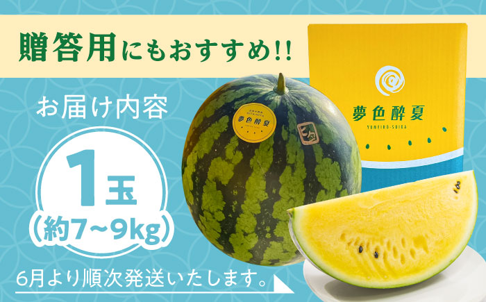 【先行予約・26年6月以降発送】夢色酔夏（金色羅皇）1玉 7~9kg スイカ 日田市 / JAおおいた【配送不可地域：北海道・沖縄・離島】　 [AREW003]