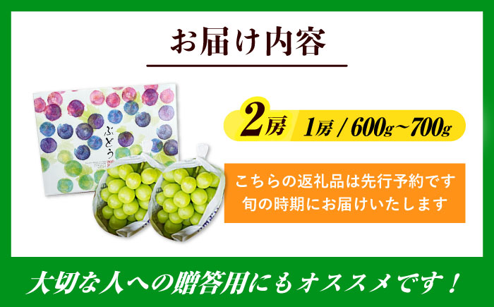 【先行予約・26年8月以降発送】シャインマスカット 1箱 (600g～700g×2房) ぶどう 日田市 / JAおおいた【配送不可地域：北海道・沖縄・離島】 [AREW005]
