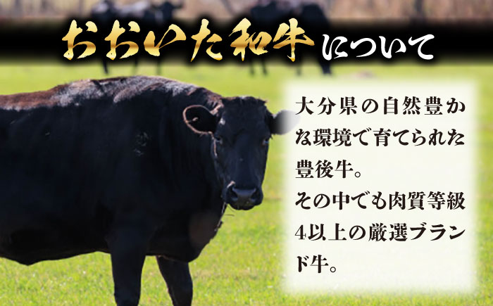 肉屋のまかないカレー(230g×8パック)　日田市 / (株)吉野(デリカミート吉野) おおいた和牛 レトルト カレー [ARFE002]