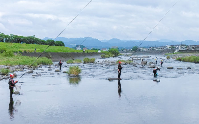 【令和8年度】ウナギを除く全魚種 遊漁年券(1枚)　日田市 / 日田漁業協同組合 鮎 アユ 釣り [ARFJ001]