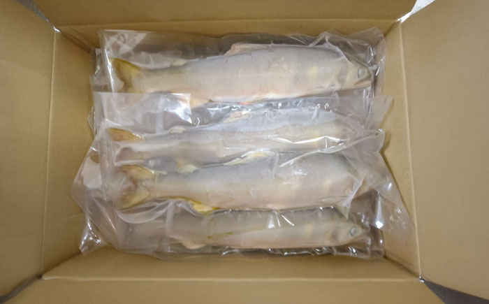 日田産養殖鮎(冷凍)1kg　日田市 / 日田漁業協同組合 魚 あゆ アユ [ARFJ003]