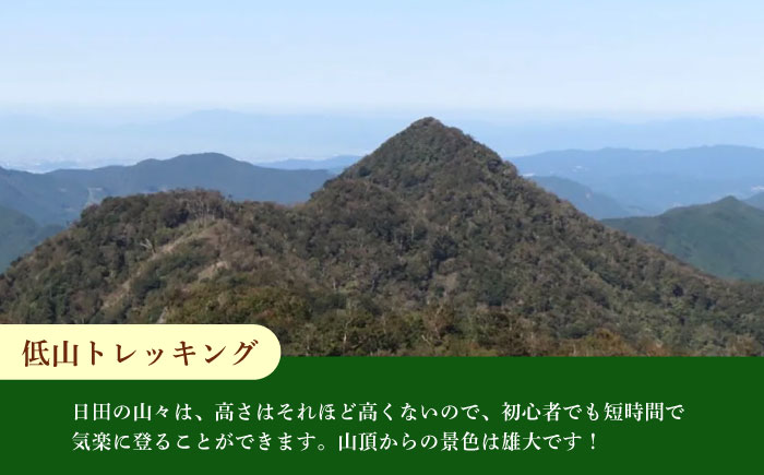 【日田を満喫体験】選べる！思い出に残る体験チケット補助券(3,000円分)　日田市 / 日田グリーンツーリズム花の木 トラベル 旅行 体験チケット [ARFM005]