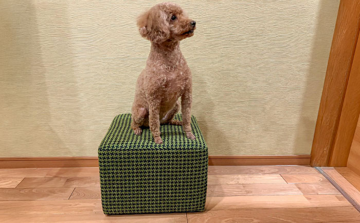 【クラシック】スツール(選べる合皮張地10種類)　日田市 / 有限会社中嶋木工所 スツール 椅子 イス [ARFT006]