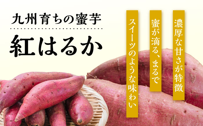 【九州産紅はるか干し芋】しっとりはるか90g×8袋セット　日田市 / 日本農林産食品製造株式会社 ほしいも  干しいも さつまいも [ARFV003]