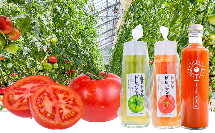トマトジュース(1本)・トマトドレッシング(2本)詰め合わせセット 日田市 / 有限会社マルカ農園(トマトファーム) とまと 野菜ジュース ドレッシング [ARAH002]