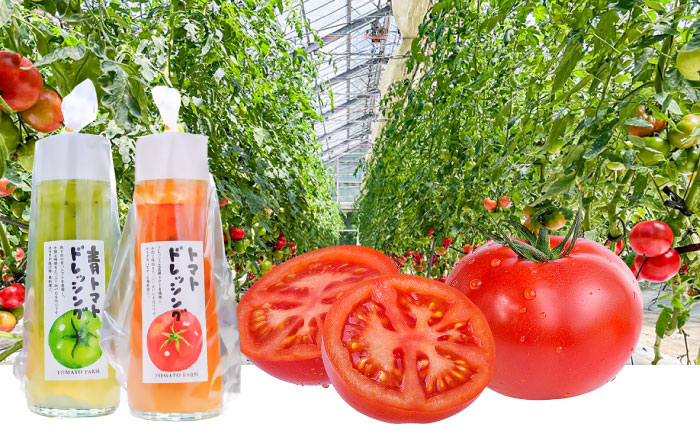 トマトドレッシング(3本)詰め合わせセット 日田市 / 有限会社マルカ農園(トマトファーム) とまと ドレッシング [ARAH003]