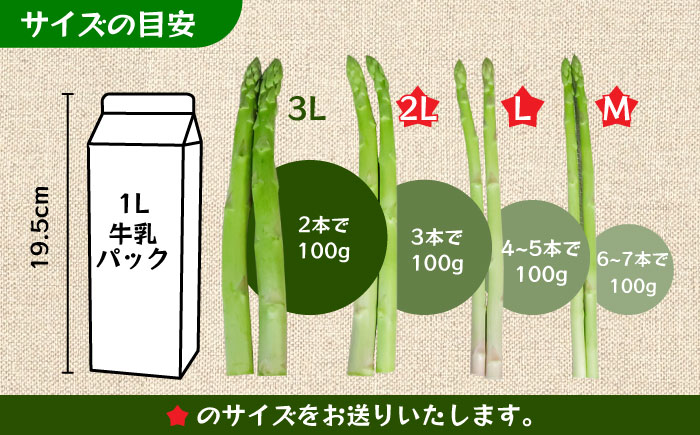 モーモーアスパラ 春芽 M / L / 2L セット 1.2kg（3月中旬から順次発送）酪農 牧場 こだわり アスパラガス おすすめ 大分県 日田市 / 株式会社本川牧場 [ARAI032]