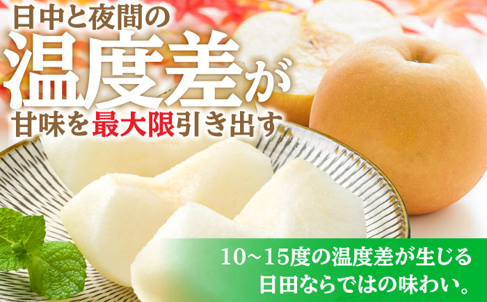 【先行予約・26年8月以降発送】日田梨 幸水 5kg 梨 日田市 / 日田梨協同組合 [ARBB001]