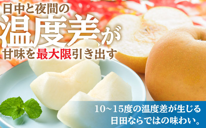 【先行予約・26年8月以降発送】日田梨 豊水 5kg 梨 日田市 / 日田梨協同組合 [ARBB002]