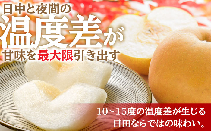 【先行予約・25年9月以降発送】日田梨 あきづき 3kg 梨 日田市 / 日田梨協同組合 [ARBB003]