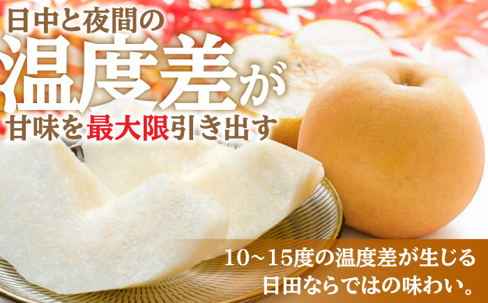 【先行予約・26年9月以降発送】日田梨 新高 5kg 梨 日田市 / 日田梨協同組合 [ARBB004]