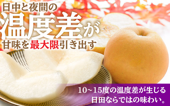 【先行予約・25年10月以降発送】日田梨 新興 5kg 梨 日田市 / 日田梨協同組合 [ARBB005]