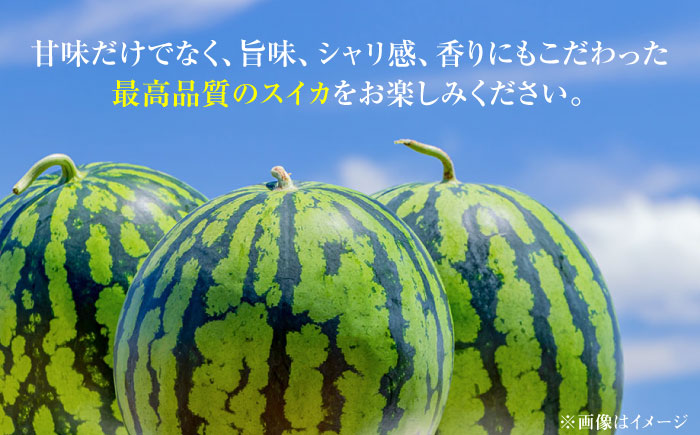 【先行予約・26年6月以降発送】日田天領 西瓜 1玉 約7kg～10kg 100サイズ スイカ 日田市 / 日田天領西瓜部会 【配送不可地域：北海道・沖縄・離島】[ARBD001]