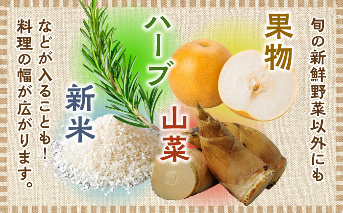 【全6回定期便】農家セレクト！特別栽培 日田の厳選食材 詰め合わせ 日田市 / 自然工房Mori 野菜 果物 米 産地直送 新鮮 セット [ARBR003]